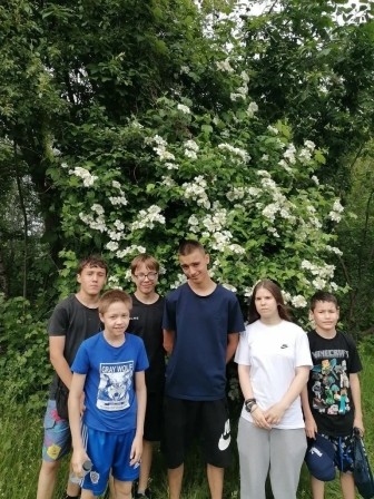 н