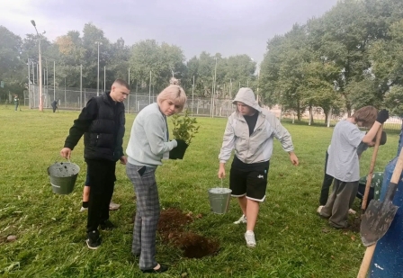 н